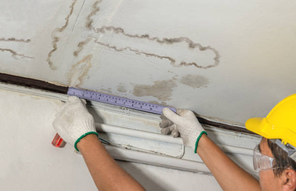 Reliable Basement Water Removal contractor in Crowley, LA by Water Damage Irwin